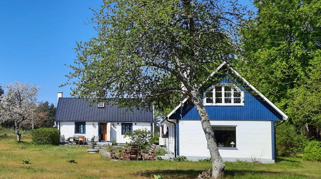 a white house with a blue roof and a tree at Sandhammaren ,skåne in Löderup