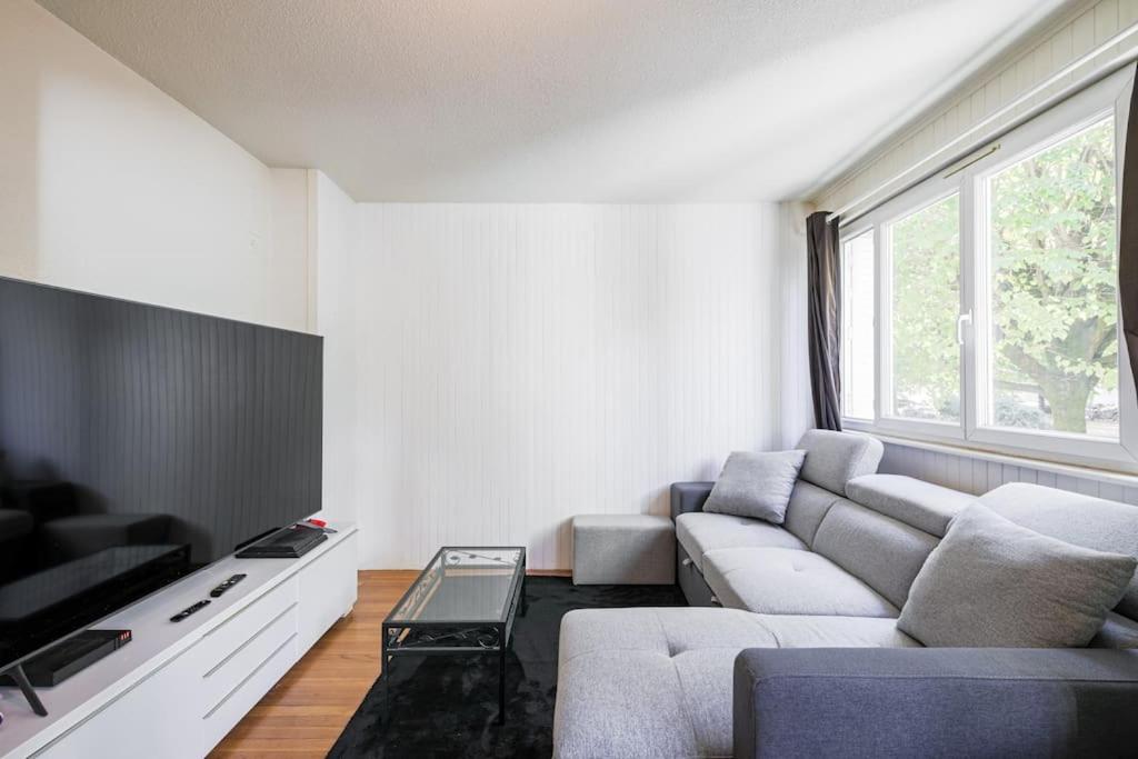 - un salon avec un canapé et une télévision dans l'établissement T4 spacieux tout confort / parking gratuit, à Grenoble