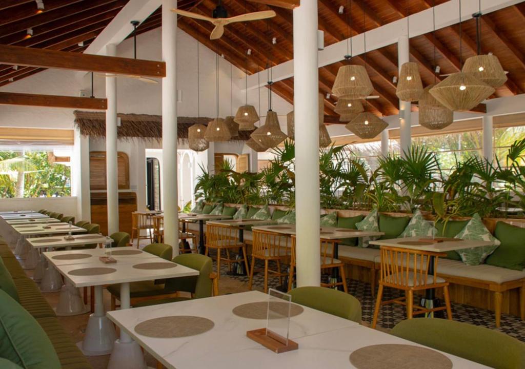 Stone Hotels Dhiffushi - View 22