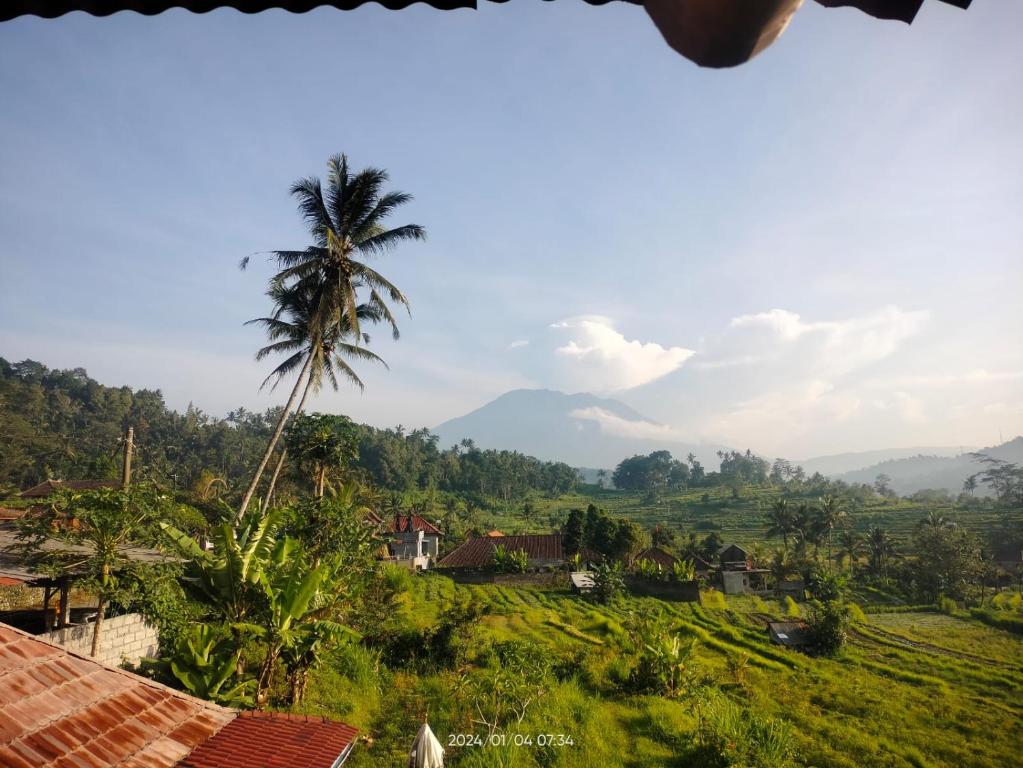 a palm tree in a field with mountains in the background at Bukit Luah Sidemen in Sidemen