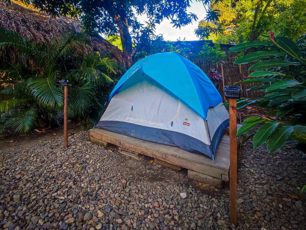 Zahrada ubytování Hostal Palomino EcoHouse & Camping
