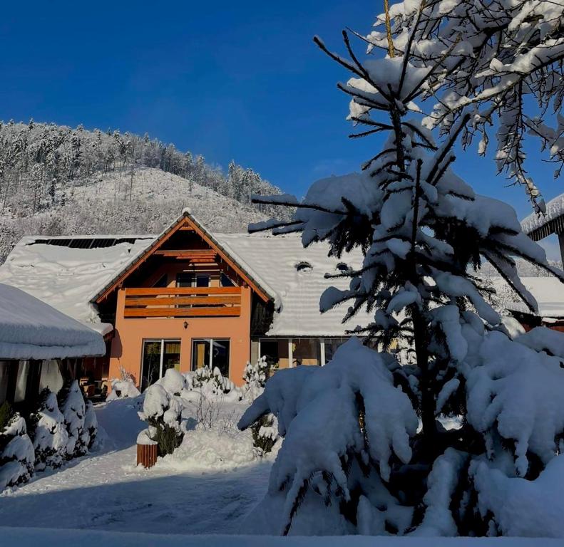 dom pokryty śniegiem z drzewem w obiekcie Dovolenkový dom Čarnica w mieście Mlynky 