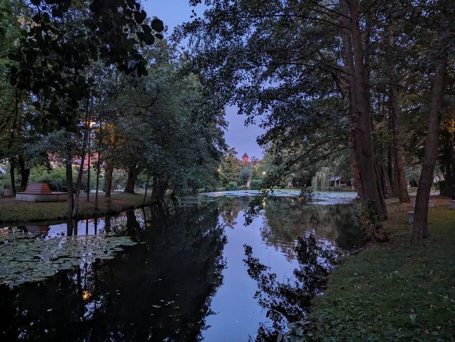 Příroda nedaleko apartmánu