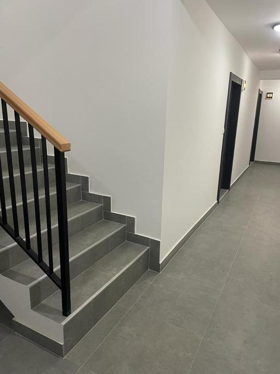 Fotografija u galeriji objekta Leona B-1 apartman Živojinović na Divčibaru