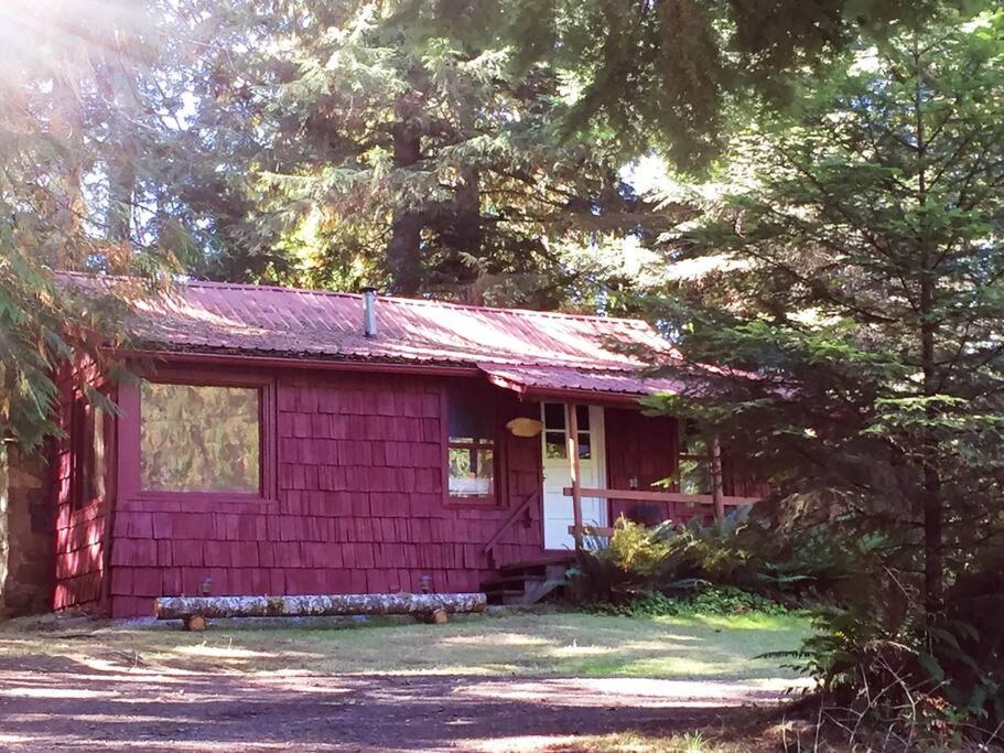 een klein roze huis midden tussen de bomen bij Family Cabin at Rainier Lodge -0.4 m from entrance in Ashford