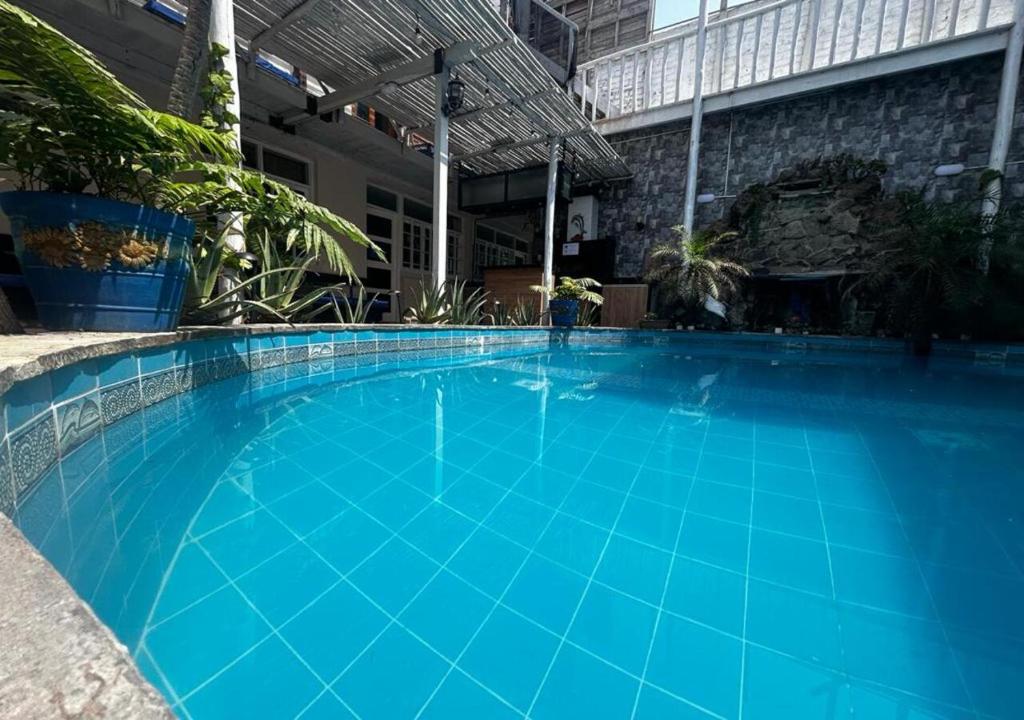 a large blue swimming pool in a building at Playa Arica Backpackers in Arica