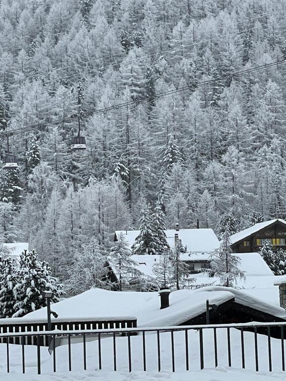Berghof v zimě