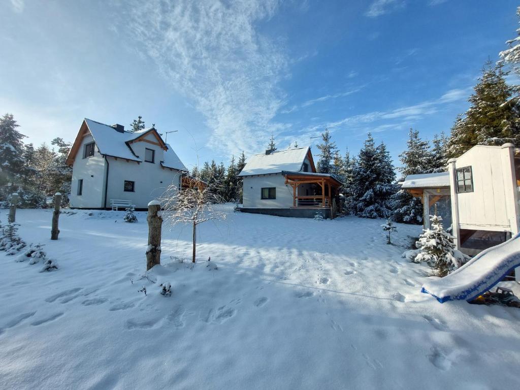 un patio cubierto de nieve con 2 casas y árboles en Zielony Zakątek Demlin, en Demlin