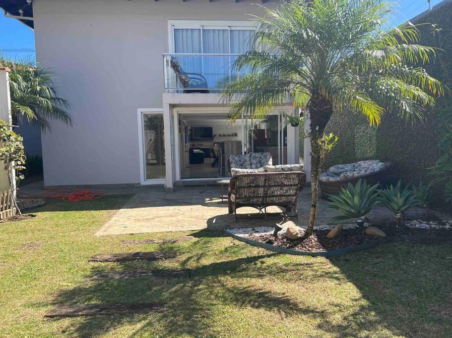 a palm tree and a chair in front of a house at Linda Casa com amplo jardim! in Curitiba