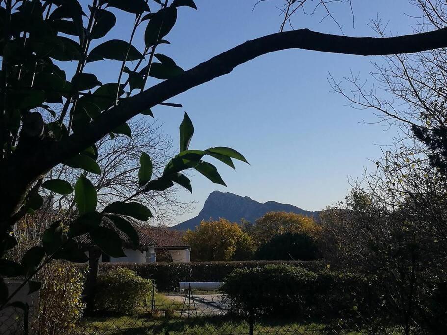 a view of a mountain from a yard with a tree at Parenthèse du Pic Appartement Climatisé 2 à 6p in Saint-Martin-de-Londres