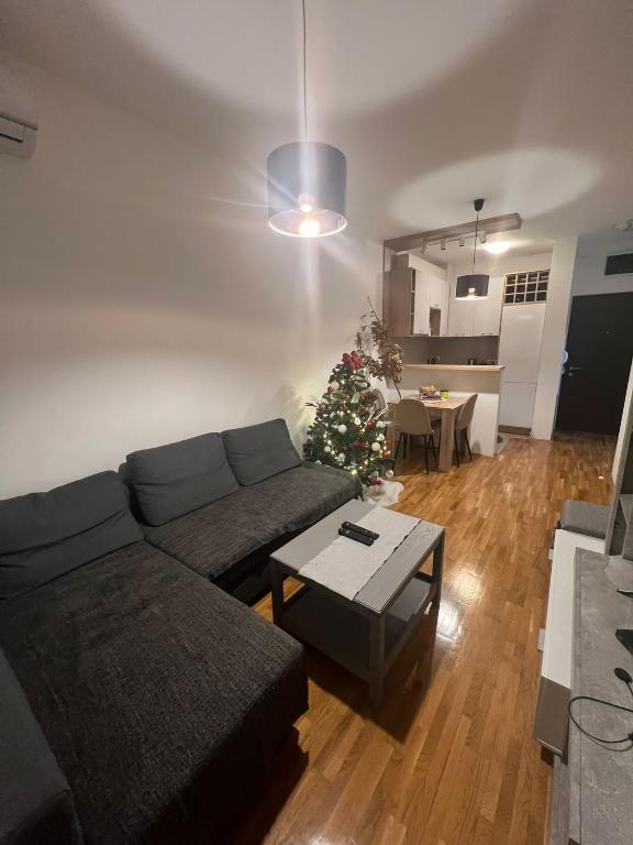 a living room with a couch and a christmas tree at Jednosoban stan kod Aqua Parka in Ub