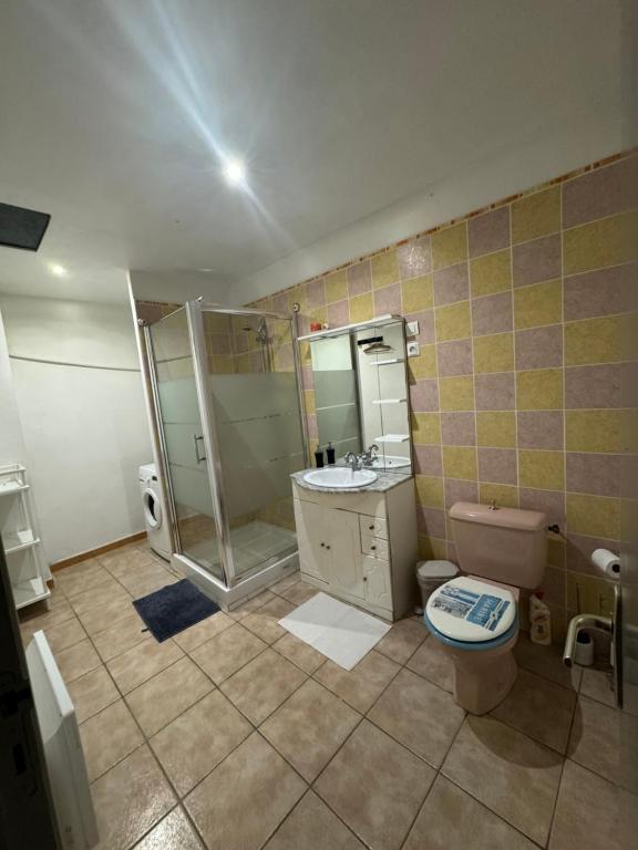 uma casa de banho com um chuveiro, um WC e um lavatório. em Gîte O'Cigales em Sablet