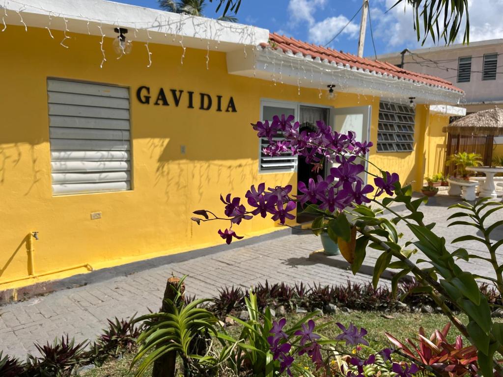 a yellow house with purple flowers in front of it at Gavidias Guest House in San Lorenzo