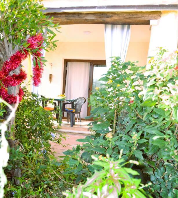 La casa di Eve a Budoni - Accogliente casa vacanze
