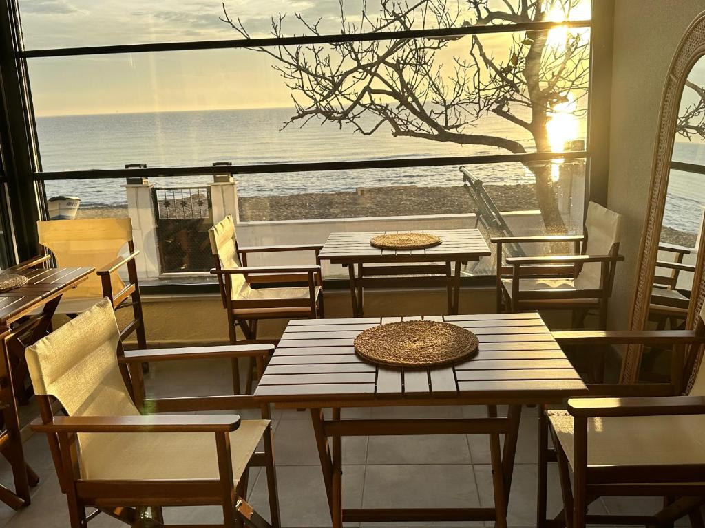 Příroda nedaleko hotelu