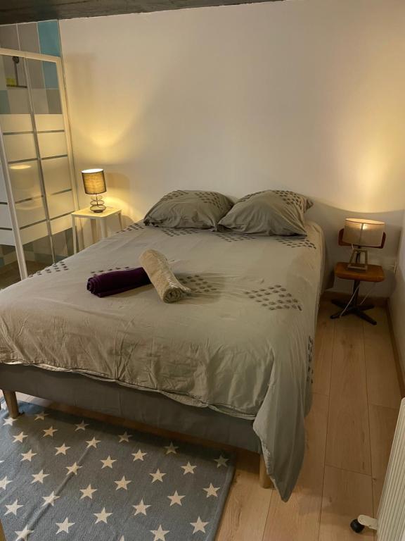 1 dormitorio con 1 cama grande con alfombra azul en Bel appartement cosy centre Veules-Les-Roses Parking privé WIFi, en Veules-les-Roses