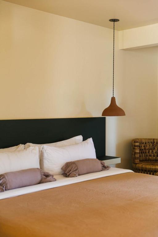 Hummingbird Inn - Sala De Luxo Com Pátio - Rei