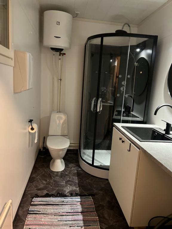 ein Badezimmer mit Dusche, Toilette und Waschbecken in der Unterkunft Elämyksellinen majoitus farmilla in Kälviä