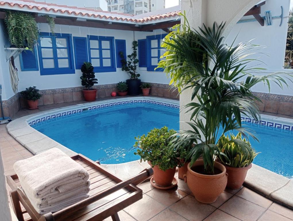 een zwembad met planten en een bank naast een huis bij Beautiful Holiday Villa with heated private pool, Los Cristianos in Los Cristianos