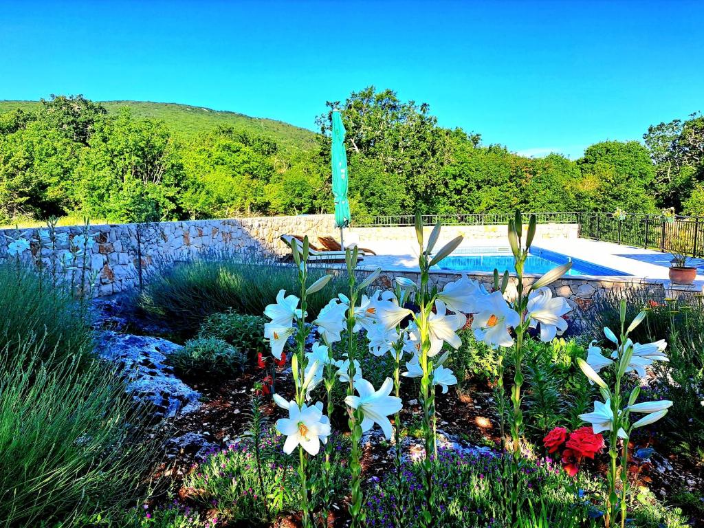 The swimming pool at or close to Relaxing Dalmatian house in village