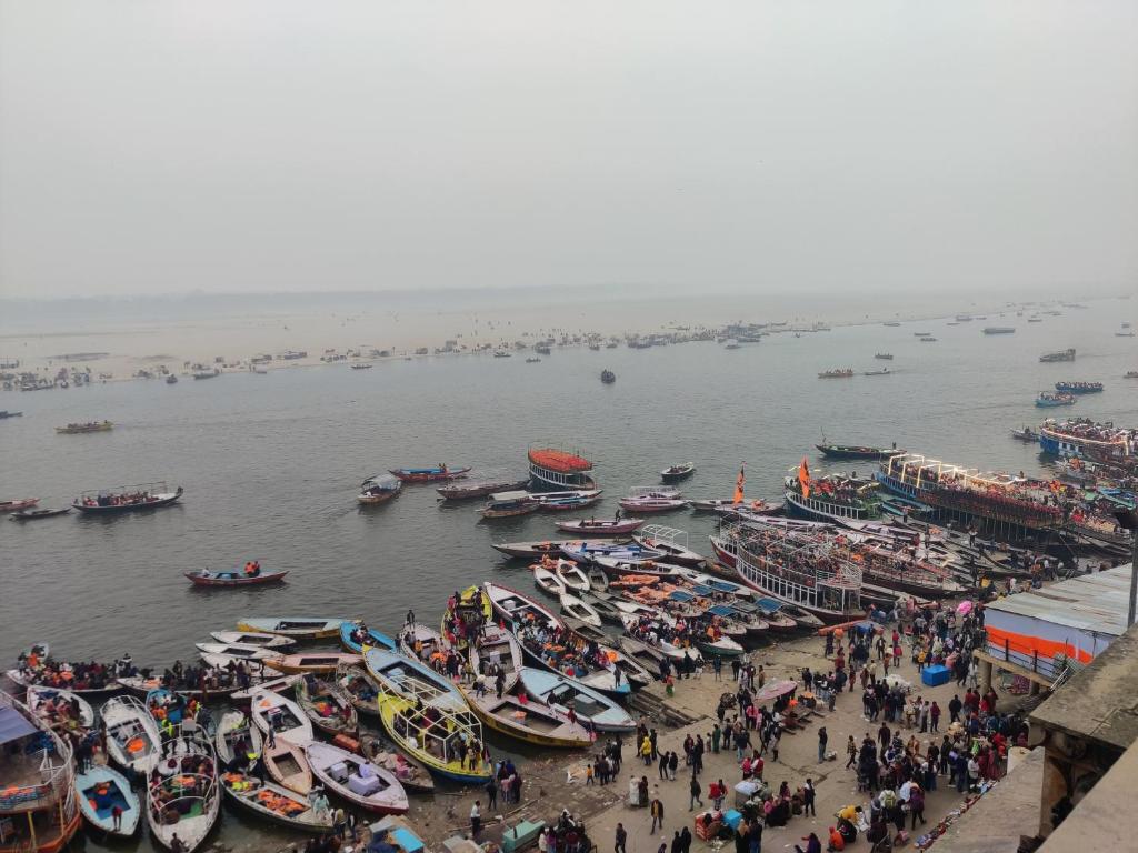 un grupo de barcos se alinean en el agua en Hippies hostel en Agra
