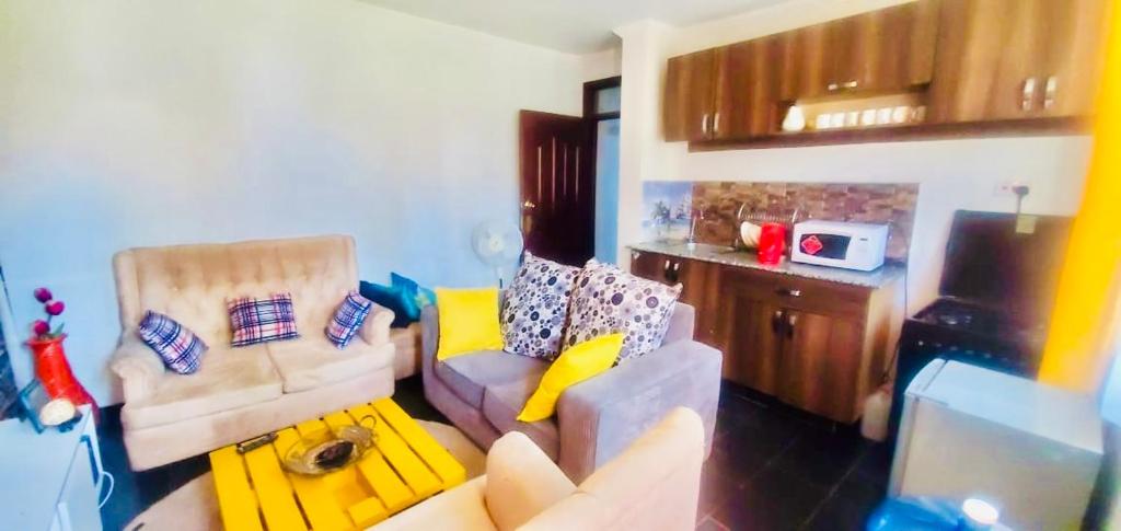 ein Wohnzimmer mit einem Sofa und einem TV in der Unterkunft Beautiful and Affordable 1brm in Milimani in Kisumu
