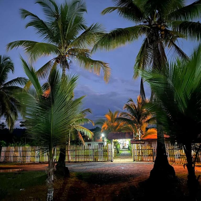 ヌキにあるCabañas Iracas del Marの塀前のヤシの木