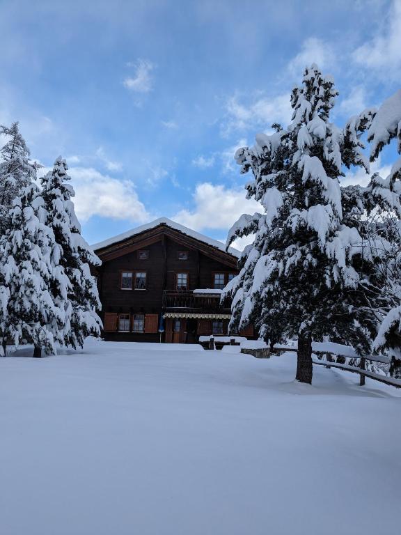 Zermattmountainchalet Tambiel talvel