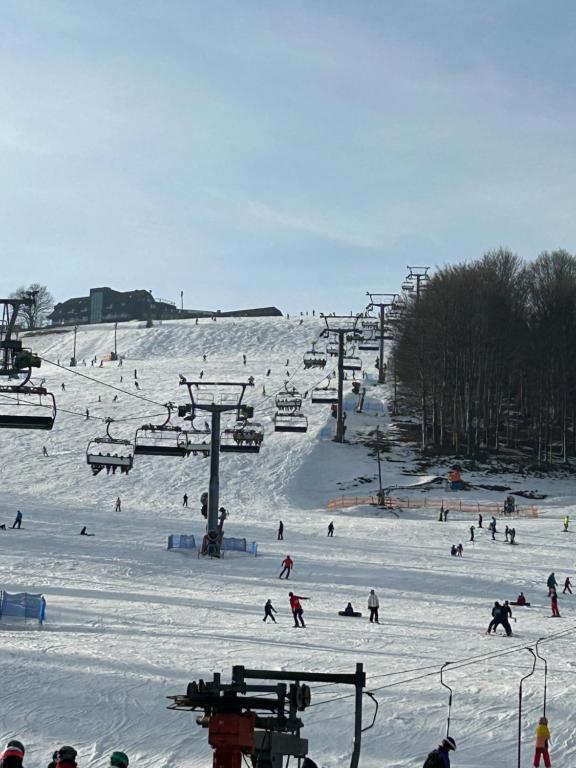 Olza Karczma i pokoje durante el invierno