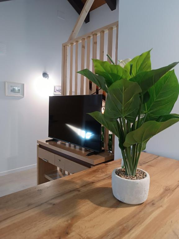 Apartamentos turisticos Ávila Puerta del Rastro 2-2 - 5