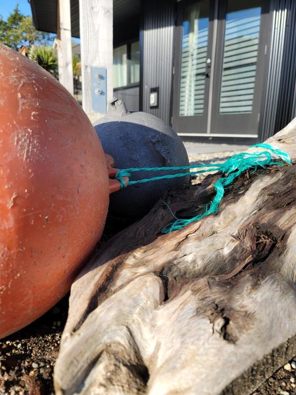 Fotografie z fotogalerie ubytování Slack tide suite v destinaci Ucluelet