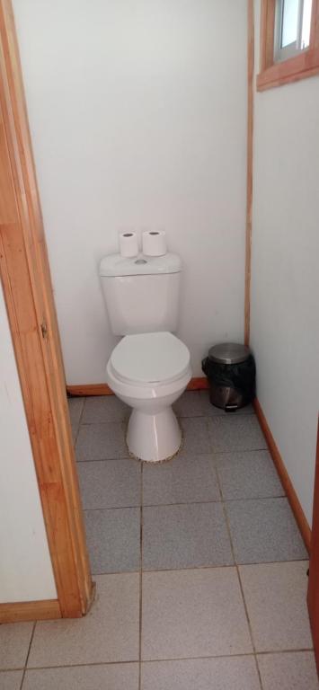 a bathroom with a white toilet in a room at Refugio Kiñeco in Conguillio