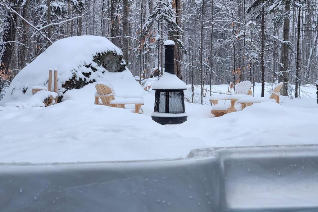 Chalet TERRE en harmonie avec la nature, Tremblant v zimě