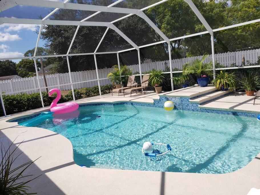タンパにあるVacational, private heated pool houseの水中のピンクの白鳥が泳ぐスイミングプール