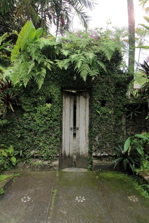 Zahrada ubytování Tegal Sari Accommodation Ubud