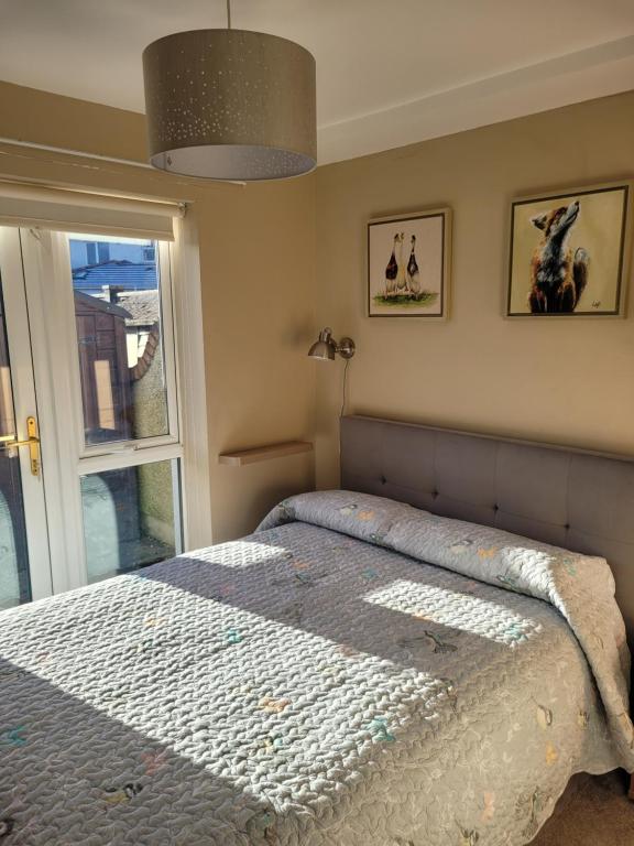 een slaapkamer met een bed en een raam bij Kilkenny City Apartment in Kilkenny