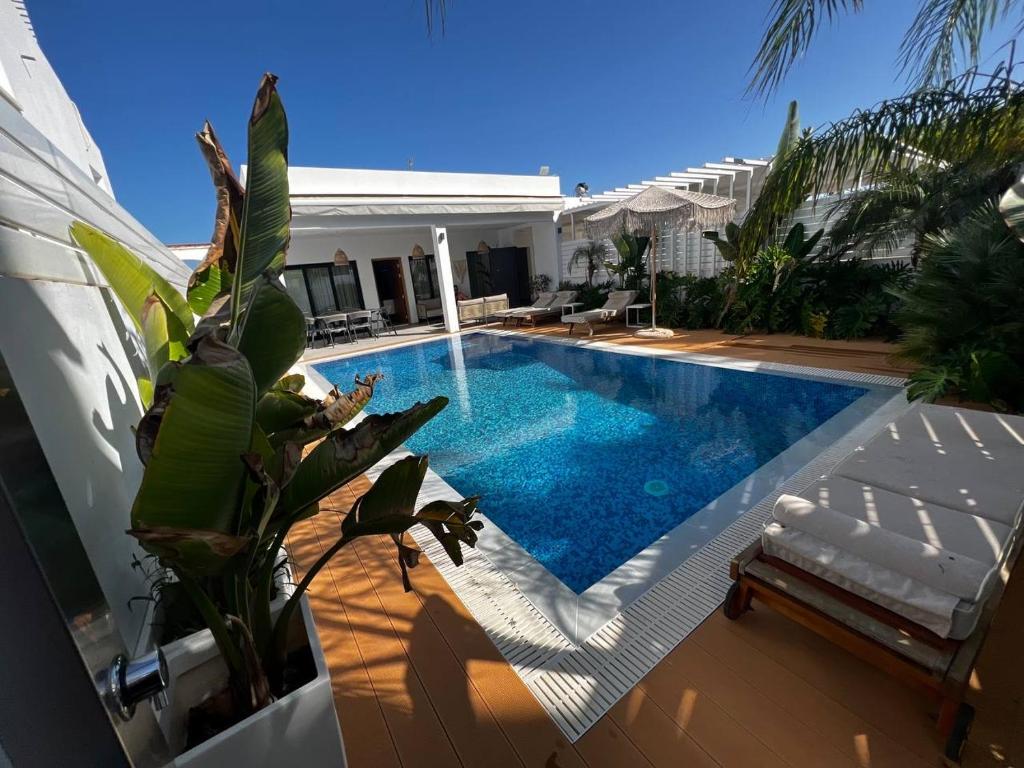 una piscina al lado de una casa con una palmera en Crystal-Blue-Villa Protaras, en Protaras