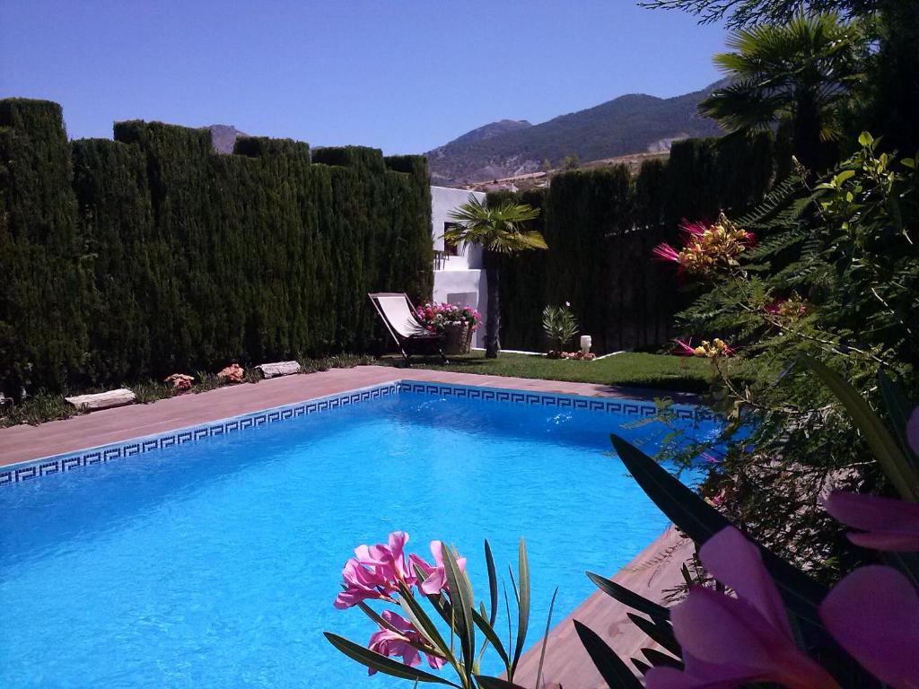 a large swimming pool in a yard with flowers at Chalet AIRAM in Monachil