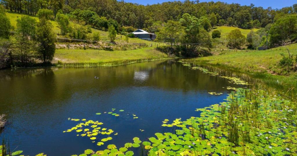 um rio com um ramo de flores na água em Hinterland Hideaway Farm Stay em Wolvi