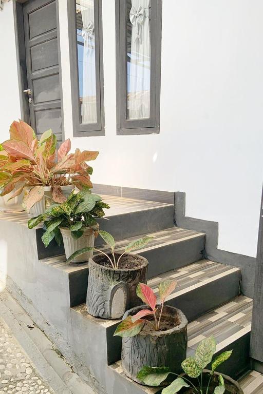 Zahrada ubytování Pondokan Guest House Rinjani Syariah
