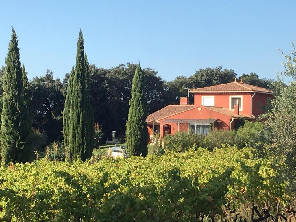 una casa en medio de un campo de vides en Domaine des Lavarines, en Morières-lès-Avignon