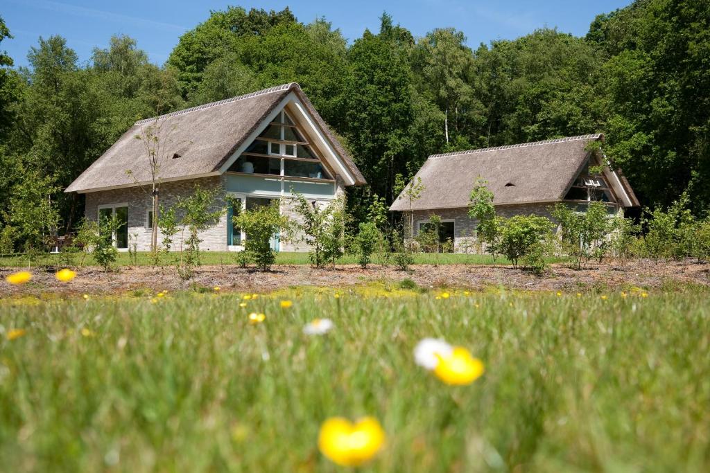 una casa en un campo con flores delante en Summio Buitenplaats de Marke van Ruinen en Ruinen