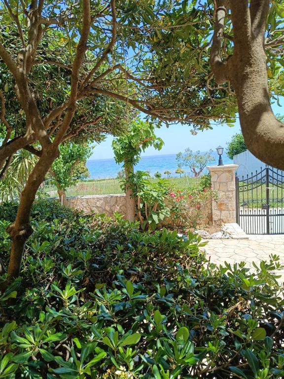 a garden with a fence and trees and bushes at Calypso Studios in Amoudi