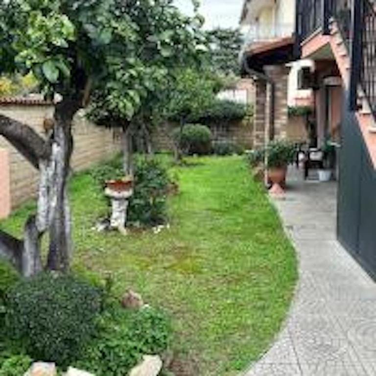 Un sogno nel verde - Vakantiehuis