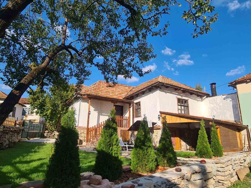 ein Haus mit einem Garten mit Bäumen davor in der Unterkunft Vila Antić in Pirot