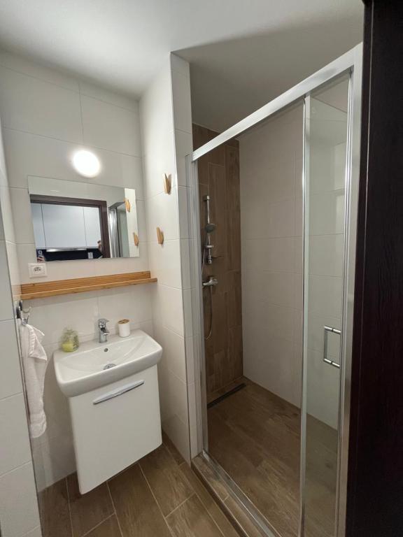 Koupelna v ubytování Apartmán Paula 3