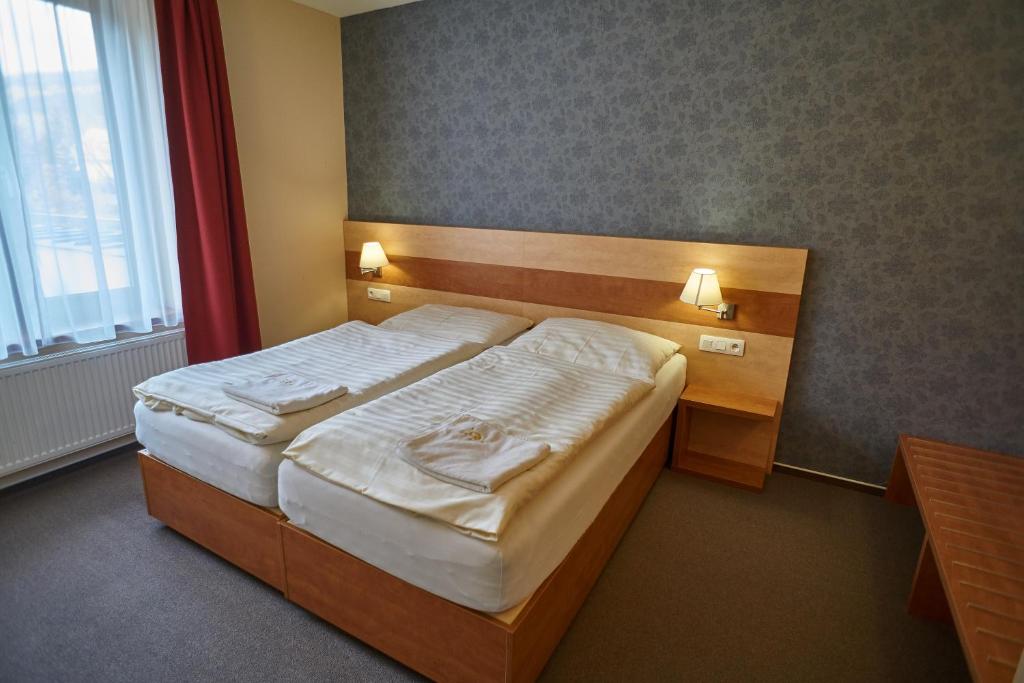 a hotel room with a bed and a desk at Hotel Toč in Lipova Lazne