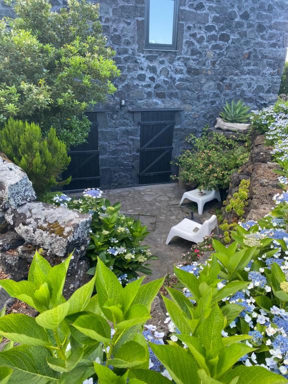 Zahrada ubytování Waka Sun Set PICO AZORES