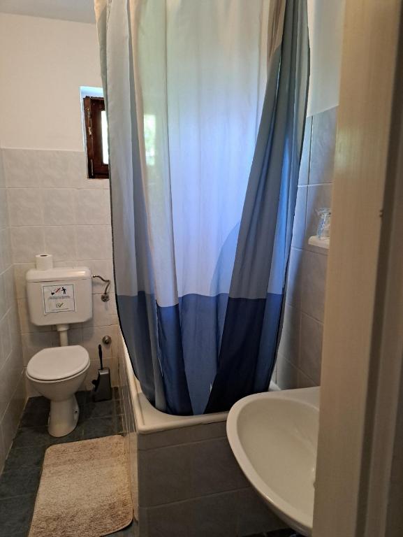 e bagno con servizi igienici e tenda doccia blu. di Accomodation Mirjana Rooms a Poreč (Parenzo)