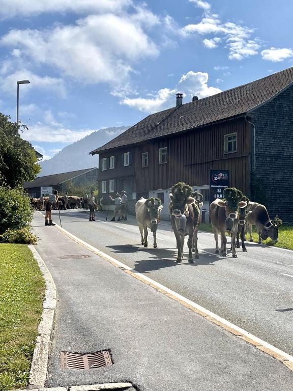 Příroda nedaleko apartmánu